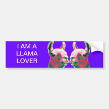 Llama Heads in a Bright Contemporary Graphic Bumper Sticker
