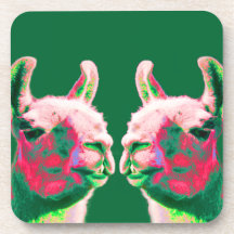 Llama Heads in a Bright Contemporary Graphic Coasters
