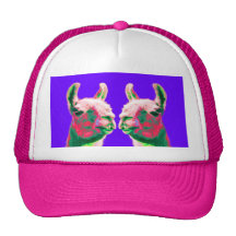 Llama Heads in a Bright Contemporary Graphic Hat