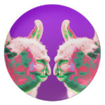 Llama Heads in a Bright Contemporary Graphic Plate
