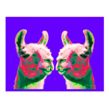 Llama Heads in a Bright Contemporary Graphic Postcard