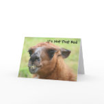 Llama Humourous 30th Birthday Greeting Card