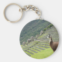 llama lands keychain