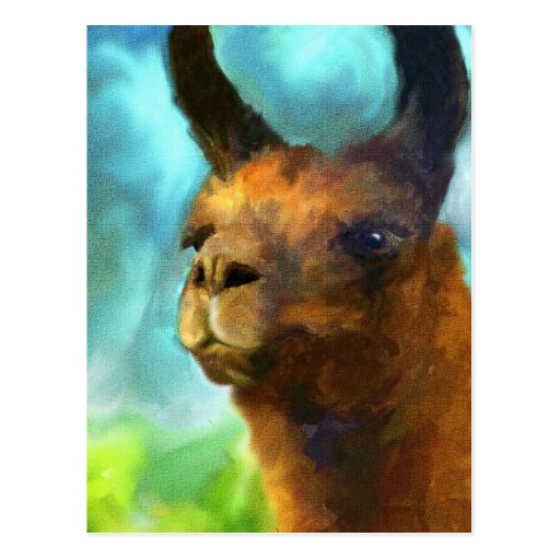 Llama Postcard