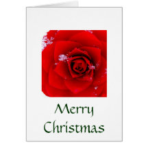 Lo A Rose E're Blooming card (Christmas)