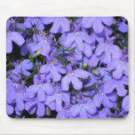 Lobelia in Ravello, Italy Mouse Pads