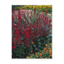 Lobelia speciosa, Cordyline australis, Viola "pada Post Cards