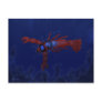 Lobster Diving Postcard