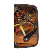 Lobster with vegetables folio planners