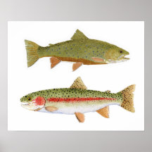 Local Favorites- Bows & Brookies Print