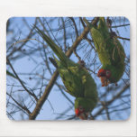 Local Noise Makers Mouse Pads