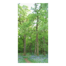 Loch Lomond de la jacinthe des bois Modèle Pour Photocarte