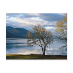 Loch Ness, Scotland Postcard