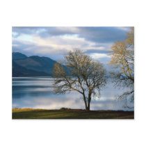 Loch Ness, Scotland Postcard