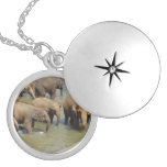 Locket - Customized