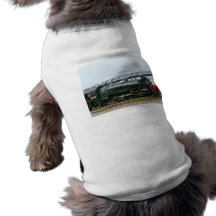 Locomotive à vapeur 3254 tee-shirts pour toutous