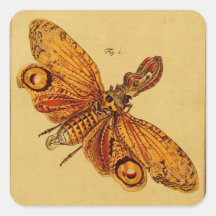 Locusta Sticker
