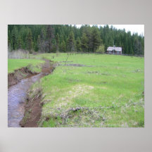 Lodgepole Guard Station Posters