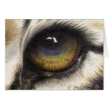 L'oeil du tigre cartes