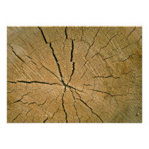 Log, cross-section invitations