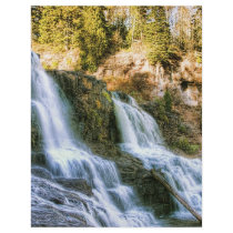Log in the Falls