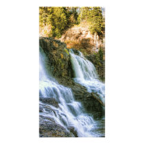 Log in the Falls