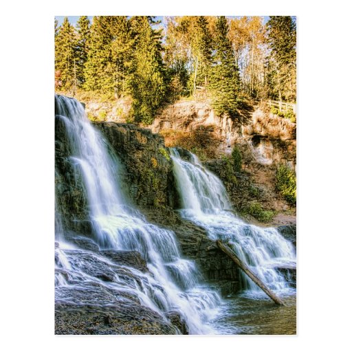 Log in the Falls Post Card