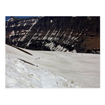 Logan Pass In Glacier National Park During Spring Postcard