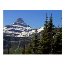 Logan Pass In Glacier National Park Post Cards