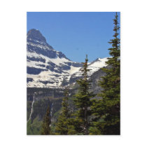 Logan Pass In Glacier National Park Postcard
