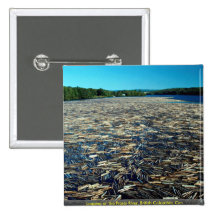 Logging on the Fraser River, British Columbia, Can Pinback Button