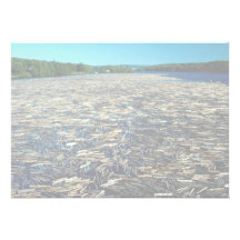 Logging on the Fraser River, British Columbia, Can Personalized Invite