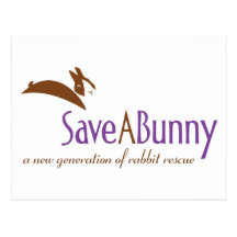 Logo de SaveABunny Carte Postale
