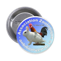 logobetleux pin's avec agrafe