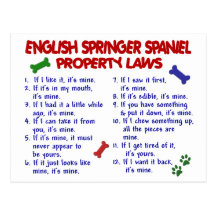 Lois 2 de propriété d'ÉPAGNEUL de SPRINGER ANGLAIS Carte Postale