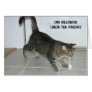 LOL Cat card