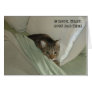 LOL Cat card