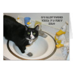 LOL Cat card