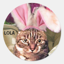 LOLA  STICKER