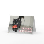 lolcat Christmas Card