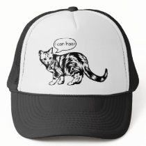 lolcat - i can has?