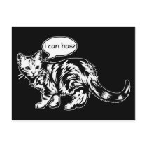 lolcat - i can has?