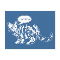 lolcat - i can has?