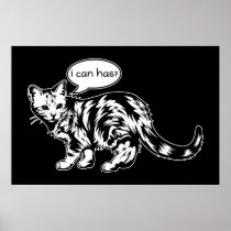 lolcat - i can has?
