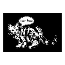 lolcat - je peux a ? affiches