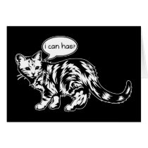 lolcat - je peux a ? cartes
