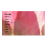 Lollypop Tulip Business Card