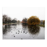 LONDON's parks Post Cards