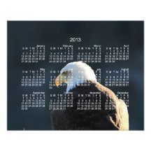 Lone Bald Eagle; 2013 Calendar Photographic Print