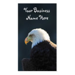 Lone Bald Eagle Business Card Templates
